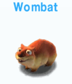 Wombat            